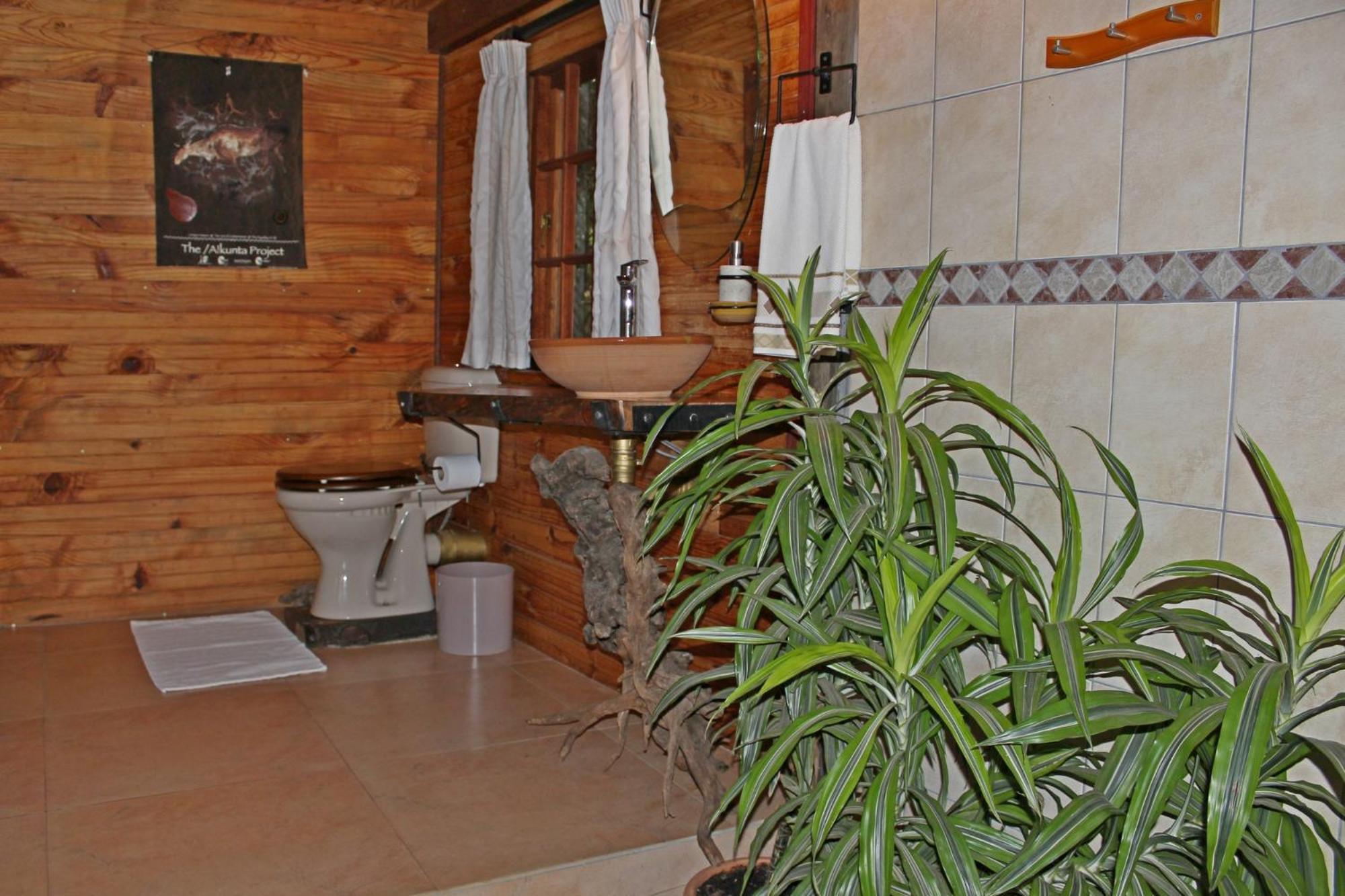 Treks, Trips And Trails Βίλα Champagne Valley Εξωτερικό φωτογραφία