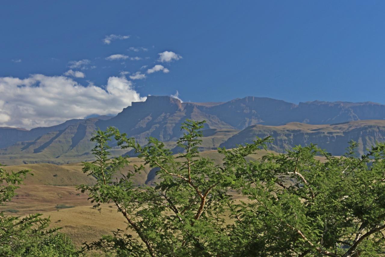 Treks, Trips And Trails Βίλα Champagne Valley Εξωτερικό φωτογραφία